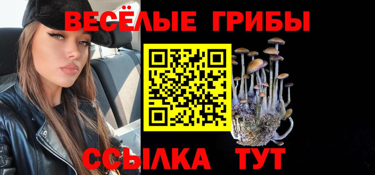 Псилоцибиновые грибы Psilocybe  Вход с VPN  Псилоцибиновые грибы мицелий  Нягань 